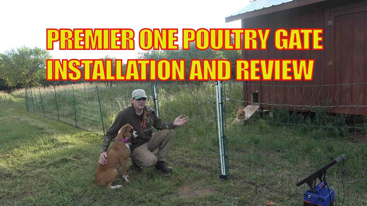 Premier One Walk through electric Poultry Gate Installation and Review #poultrynet #premierone