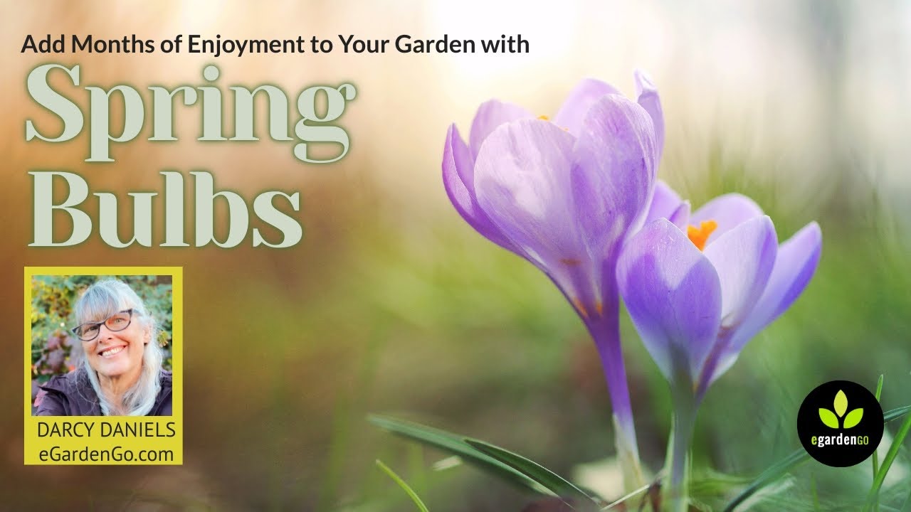 Spring Bulbs Add Months of Enjoyment to Your Garden