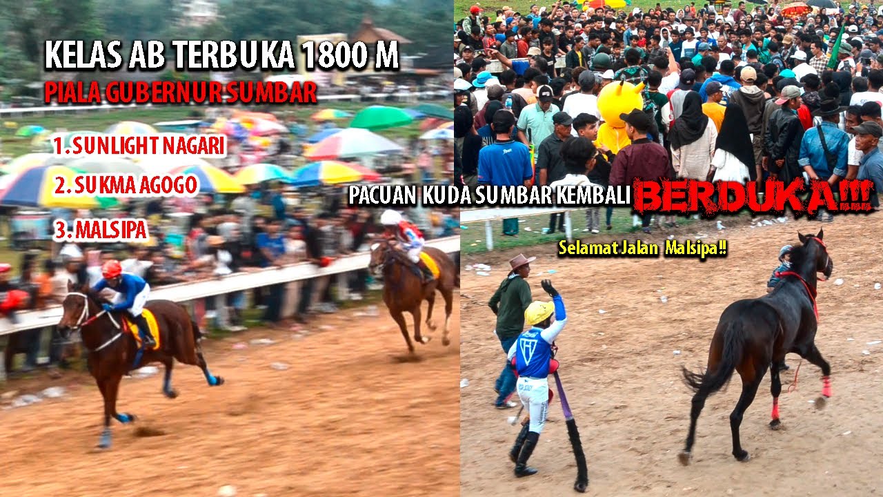 RACE TERAKHIR!!! SELAMAT JALAN MALSIPA !! PACU KUDA BUKITTINGGI PIALA GUBERNUR SUMBAR