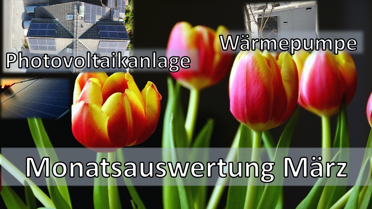Extrem guter März: Diese Zahlen hätten selbst ich nicht erwartet! 📉📈