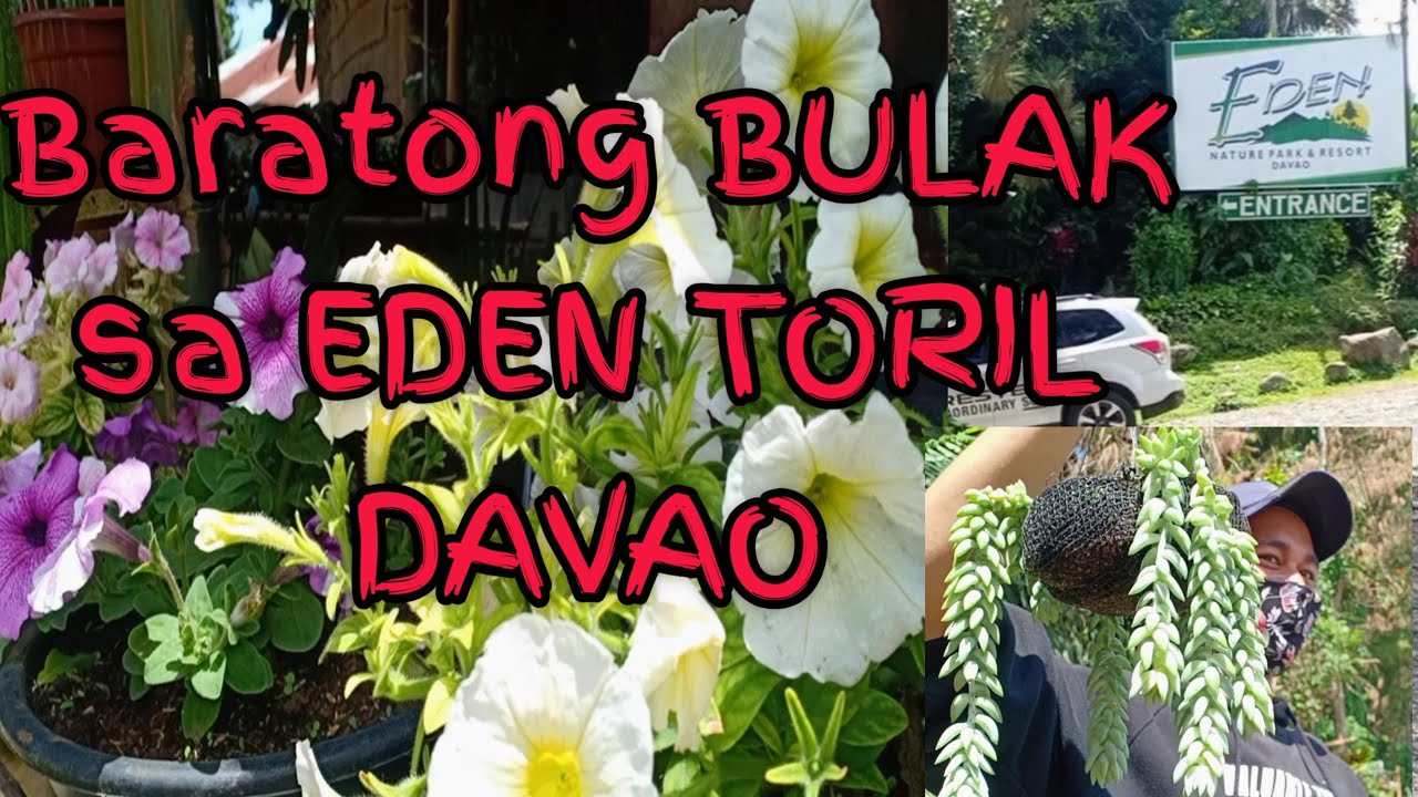 Plant Shopping at Eden Toril Davao/Plant Hunting/Houseplant/Tisay Collection