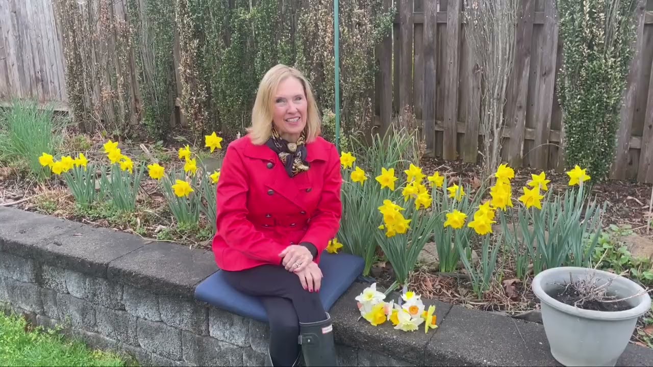 Fun facts about the daffodil