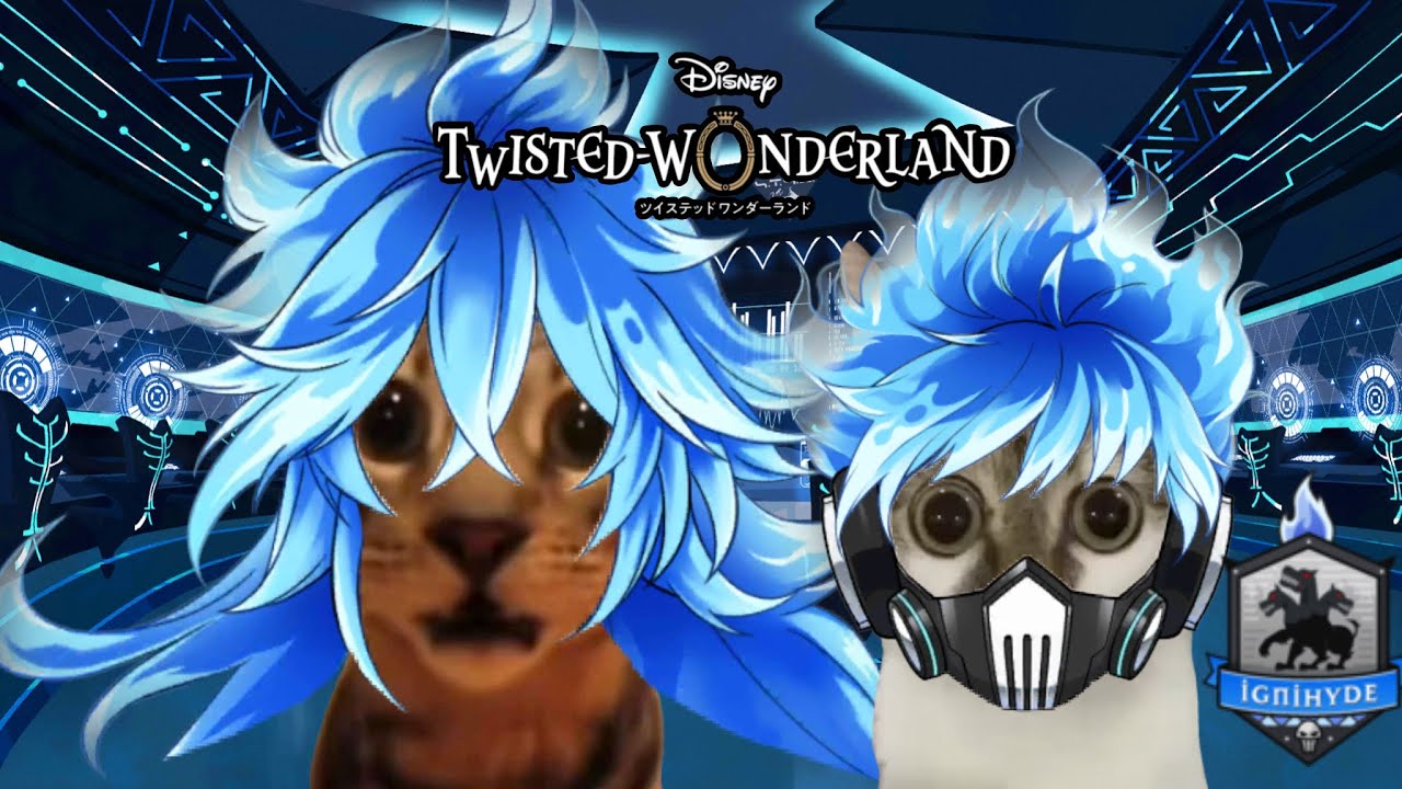 TWISTED WONDERLAND BOOK 6 EXPLAINED BY CATS