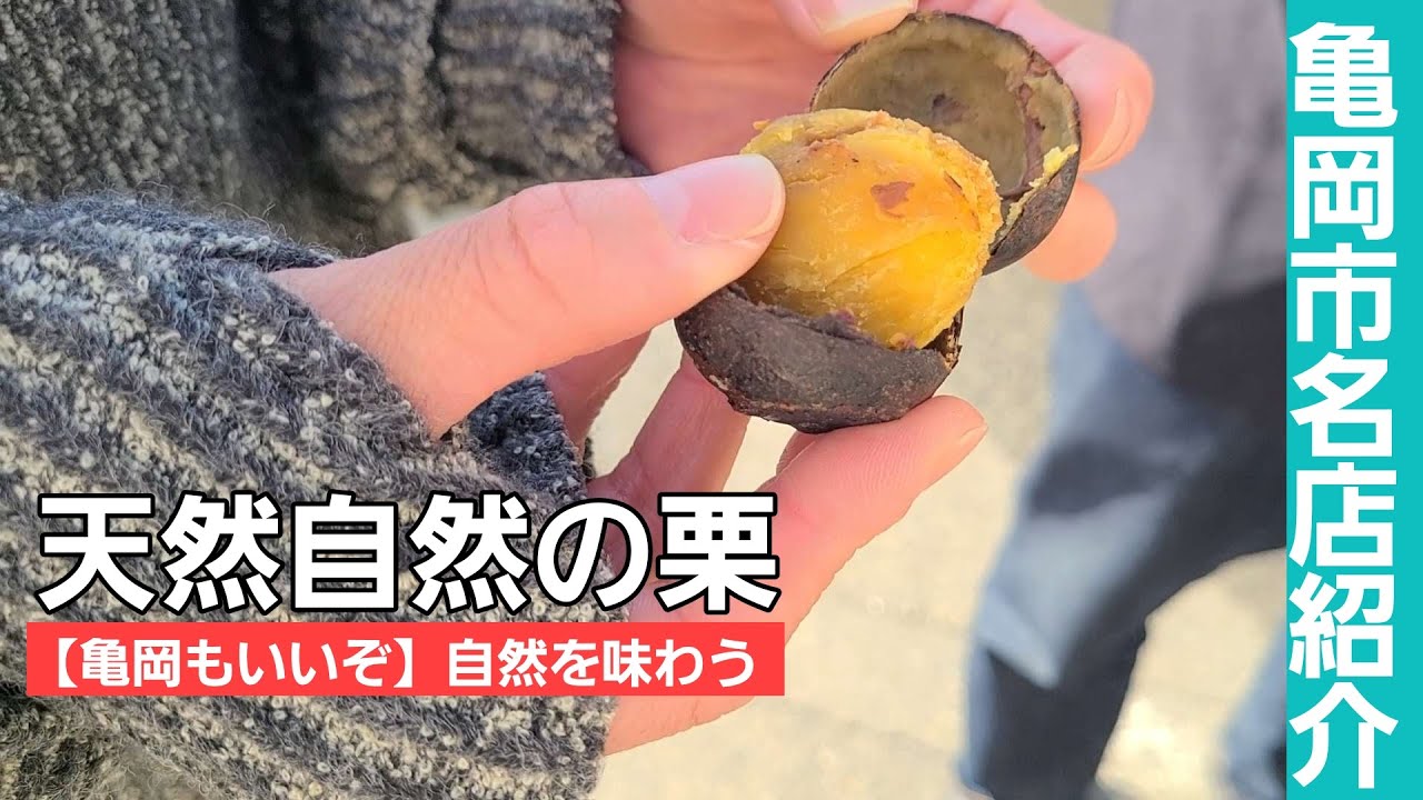 【亀岡もいいぞ】この甘さはまさに本物の栗！こんな名店が亀岡市役所周辺にあったとは！！