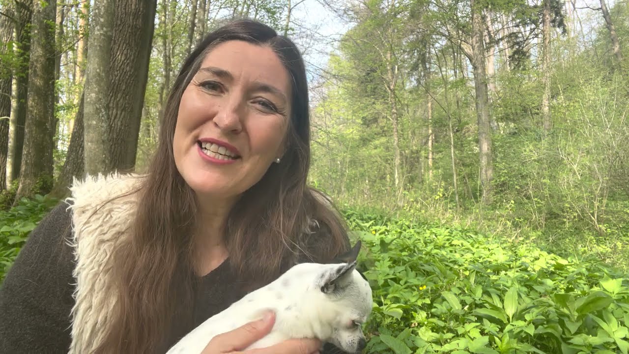 Seelen Gespräch mit dem Gott der Natur - Die heilige  Kraft des grünen Mannes