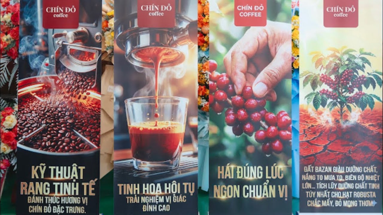 Thành Phan Gia Lai đang phát trực tiếp!