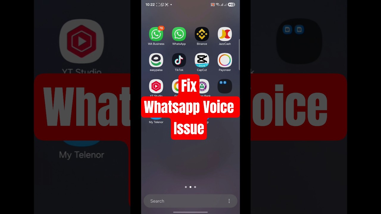 Whatsapp voice allow whatsapp voice permission on kaise kare 