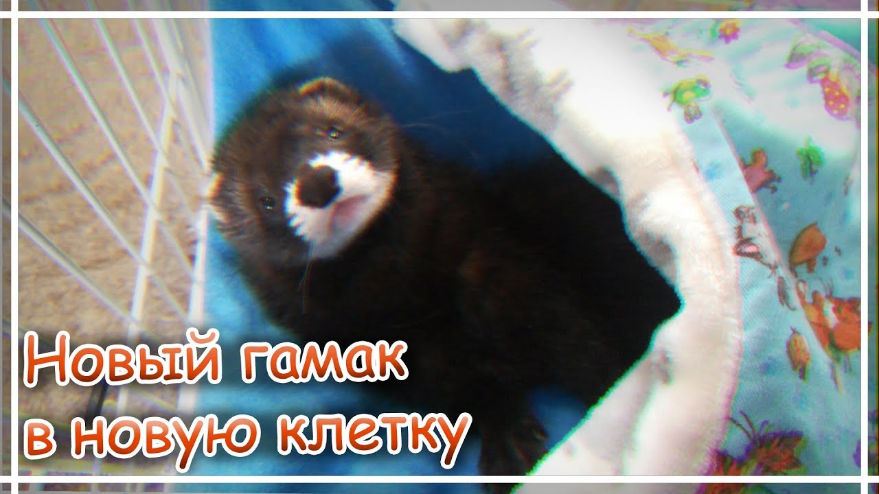 ШЬЁМ ГАМАК-КАРМАН ДЛЯ ХОРЬКА СВОИМИ РУКАМИ/Новый гамак в новую клетку