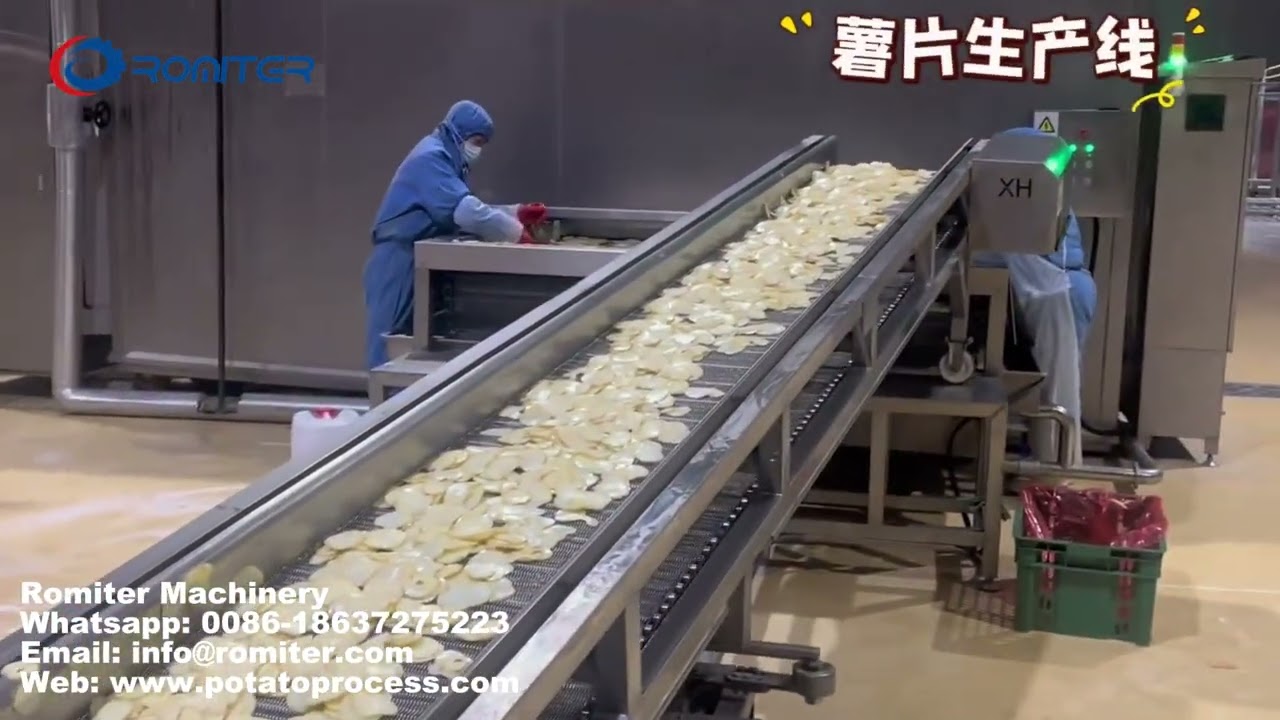 Automatic Fresh Potato Chips Production Line 2026