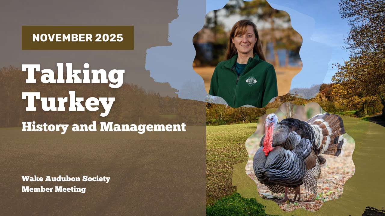November 2025 Member Meeting