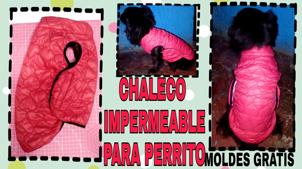CHALECO IMPERMEABLE PARA PERRO - MOLDES GRATIS