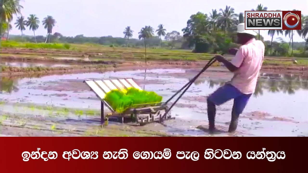 ඉන්දන අවශ්‍ය නැති ගොයම් පැල හිටවන යන්ත්‍රය…(2021-12-13)