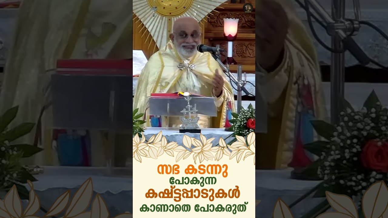 സഭ കടന്നു പോകുന്ന കഷ്ട്ടപ്പാടുകൾ കാണാതെ പോകരുത് Mar Raphael Thattil