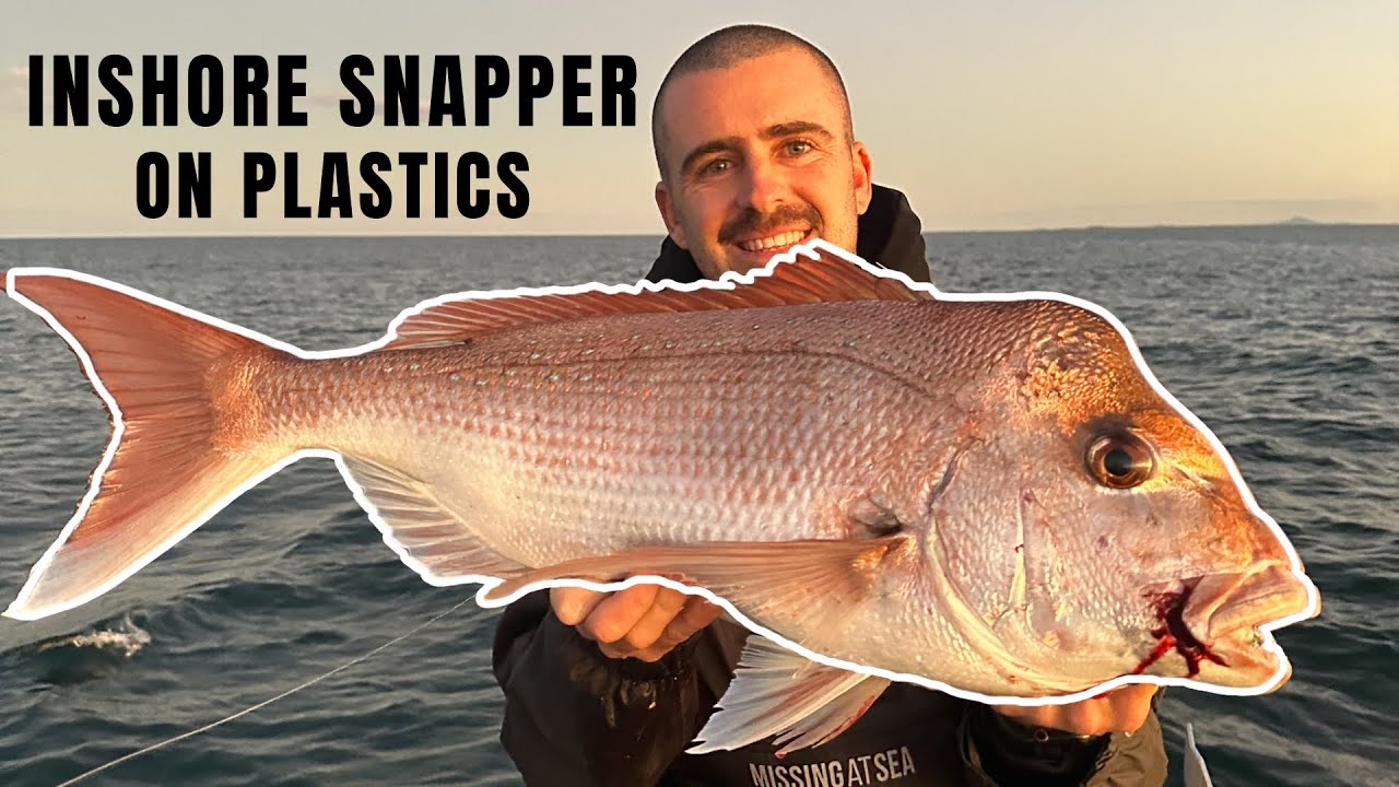 BIG SNAPPER ON OUR DEATH BAIT SOFT PLASTICS
