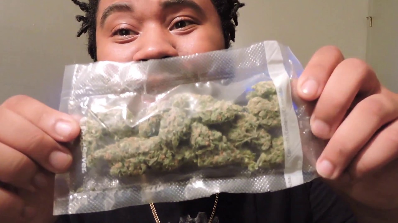 Dutchberry GAS or TRASH