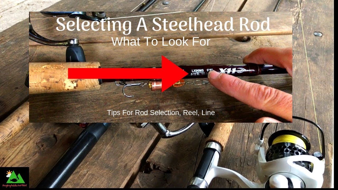 Steelhead Fishing Tips | Selecting A Rod, Reel, Line And More | BEGINNER Steelhead Fishing