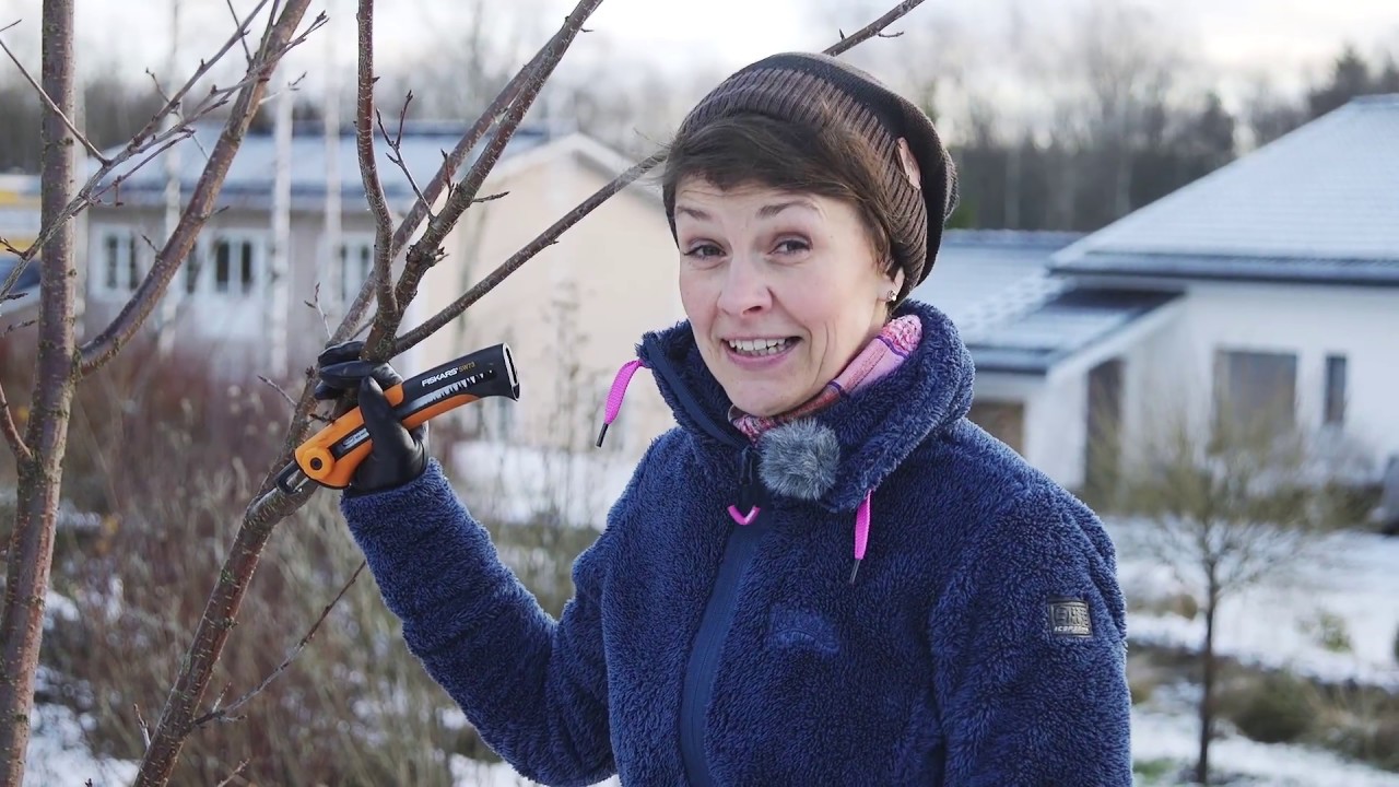 V&auml;lt&auml; yleisimm&auml;t virheet puun leikkauksessa