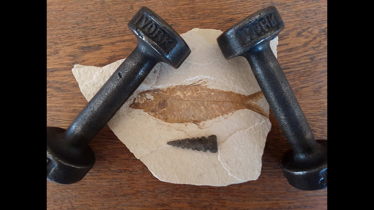 Dumbbells, Arrowheads, and Dinosaur Bones (what it means to bench press 315 when 74 years old)