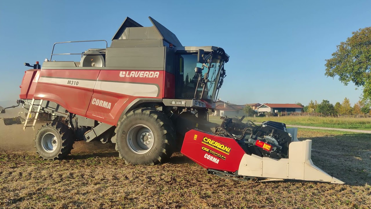 Trebbiatura soia BIO - Laverda M310