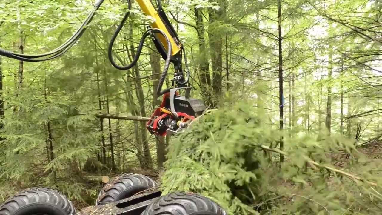 Combi Machine Malwa 560C with Nisula 325