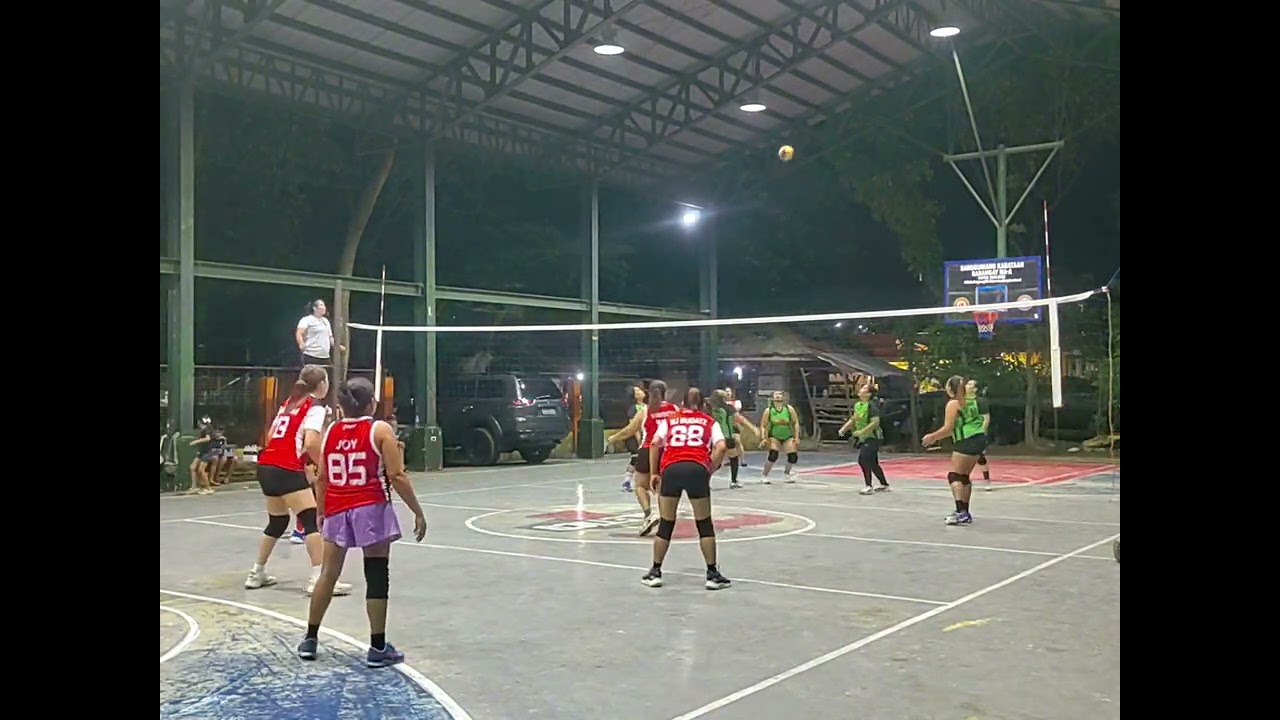 Volleyball Highlights