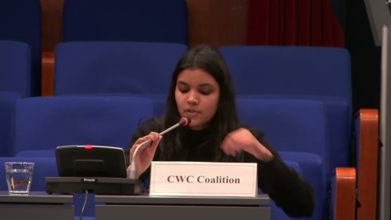 Improving Interactions between Civil Society and the OPCW