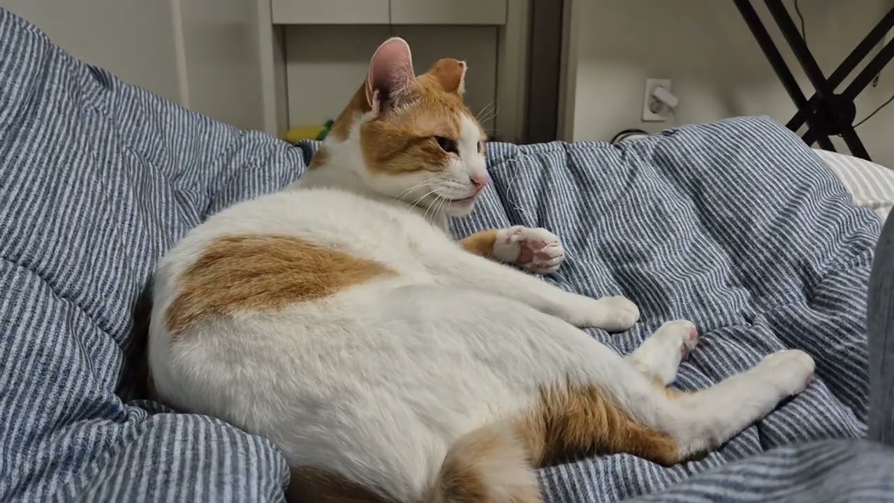 찰밥의 순화에 늘 함께 해주는 고마운 뚜식이