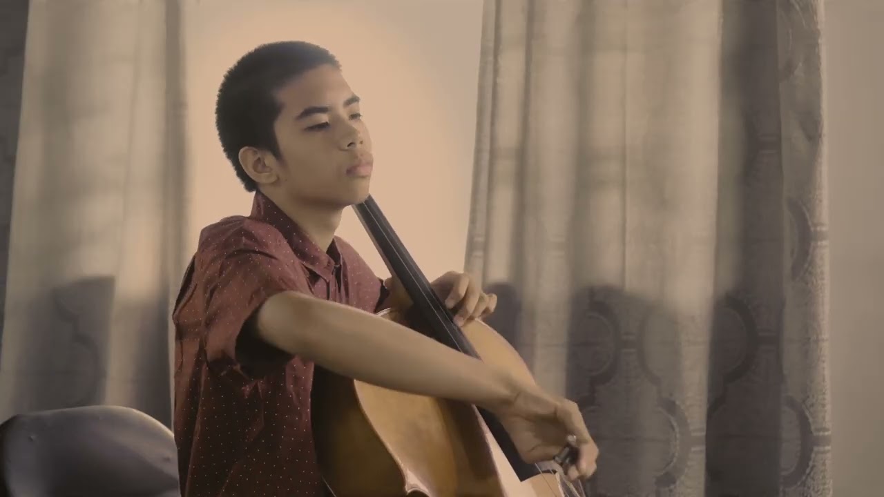 Make You Feel My Love - Cello Cover