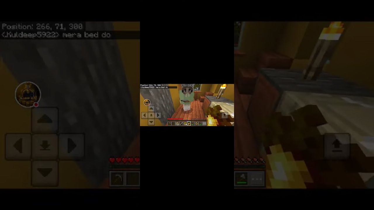 PLAYING A MINECRAFT  SMP WITH A PLAYERS