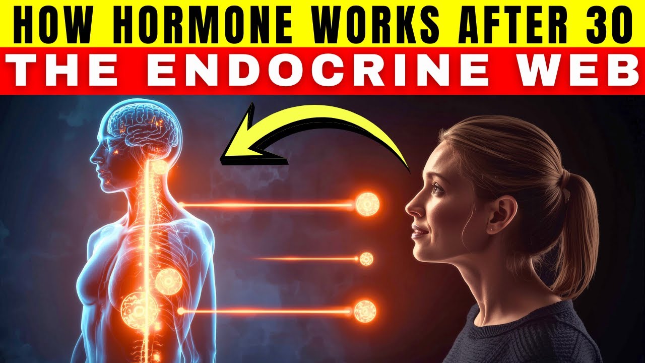 Top 5 Endocrine Organs Controlling Your Energy