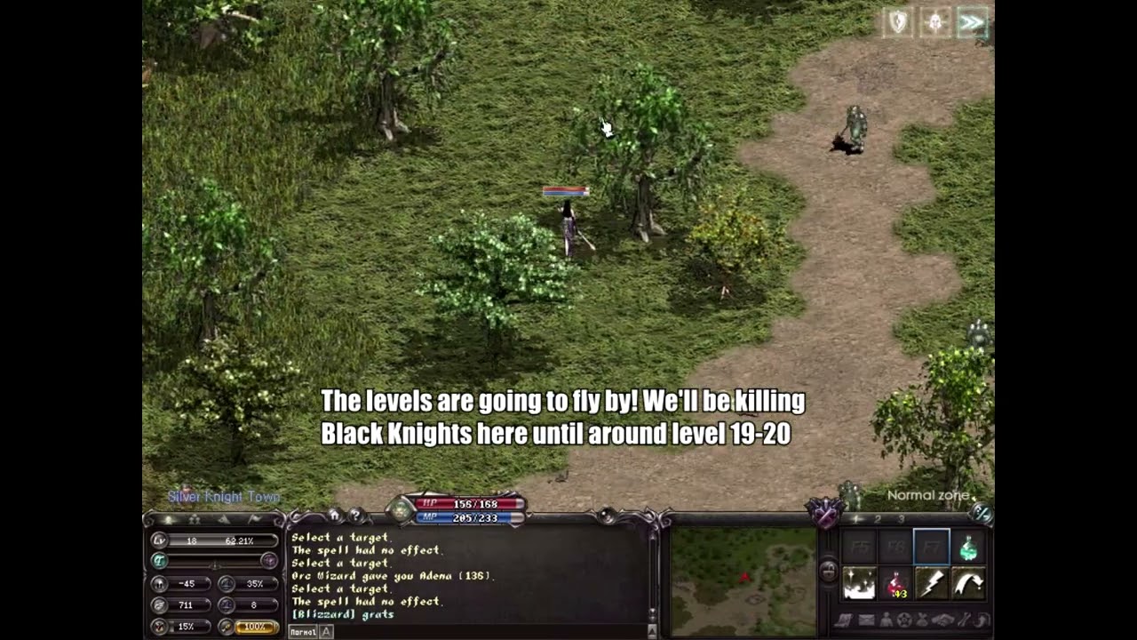 Lineage 1 Justice - Beginner Wizard Guide 1-45 in Less than an hour