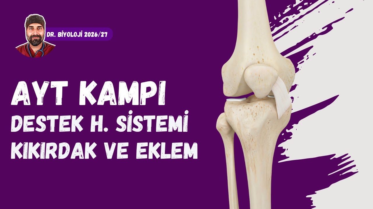 Destek Hareket Sistemi Kıkırdak ve Eklem | Dr. Biyoloji | AYT Dönem 2026 - 2027