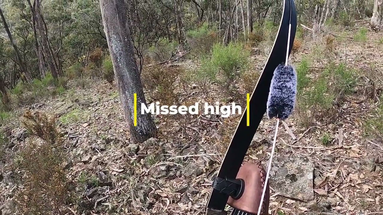 Bow Hunting Australia - Fox Hunting Chronicles Part 1  - Trad Mad Bow Hunter