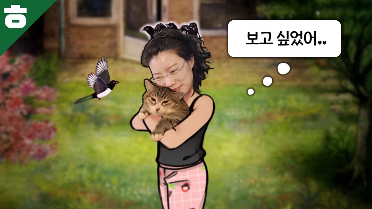 고양이와 까치가 맞짱을 뜨면 누가 이길까?!