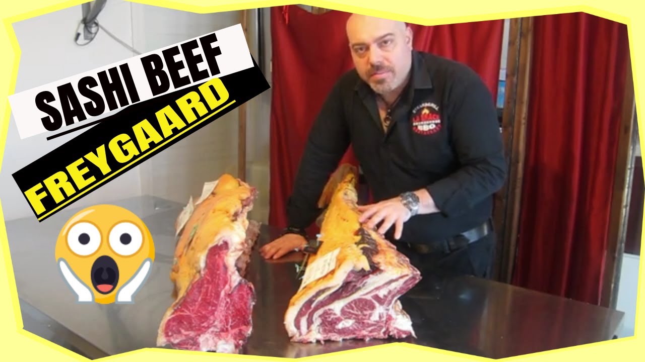 Sashi Beef, Vacca Finlandia, Freygaard