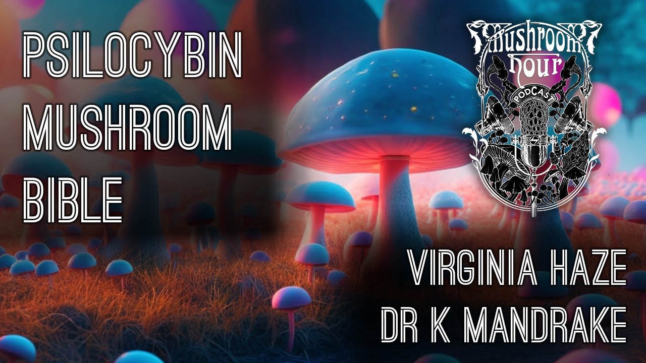 The Psilocybin Mushroom Bible & A Quickly Changing Kaleidoscope