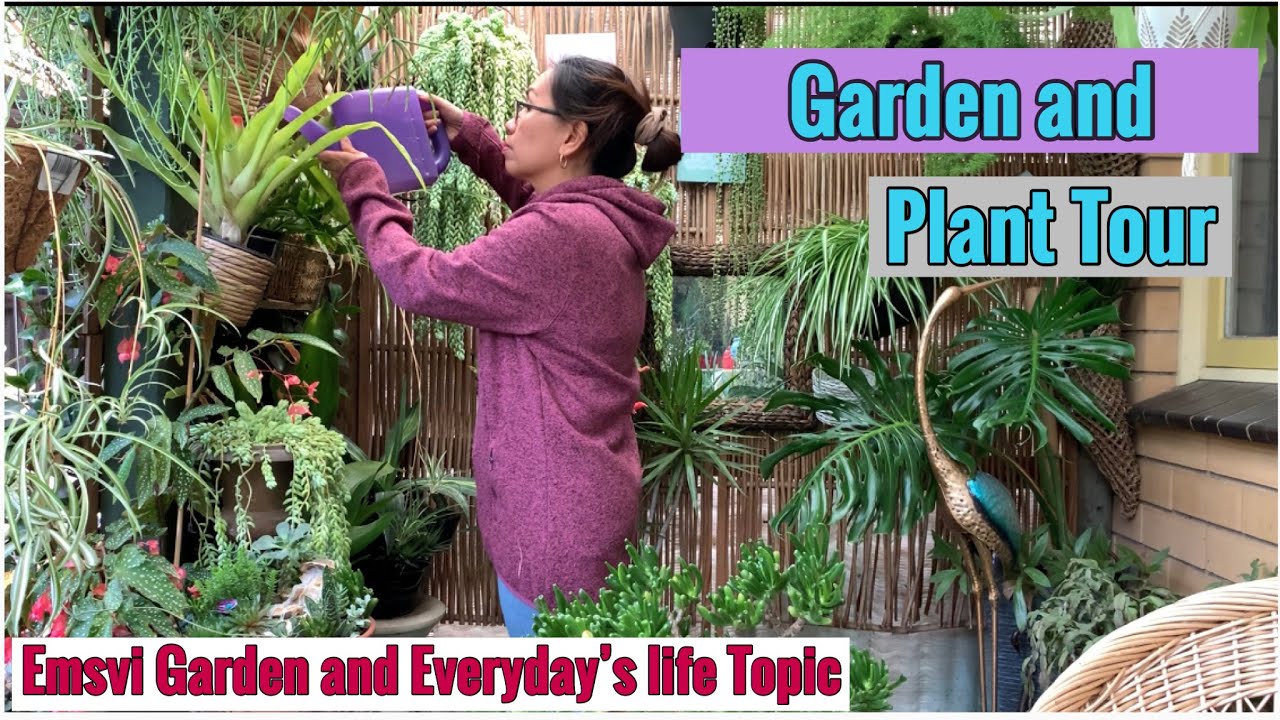 Garden verandah Plant Tour