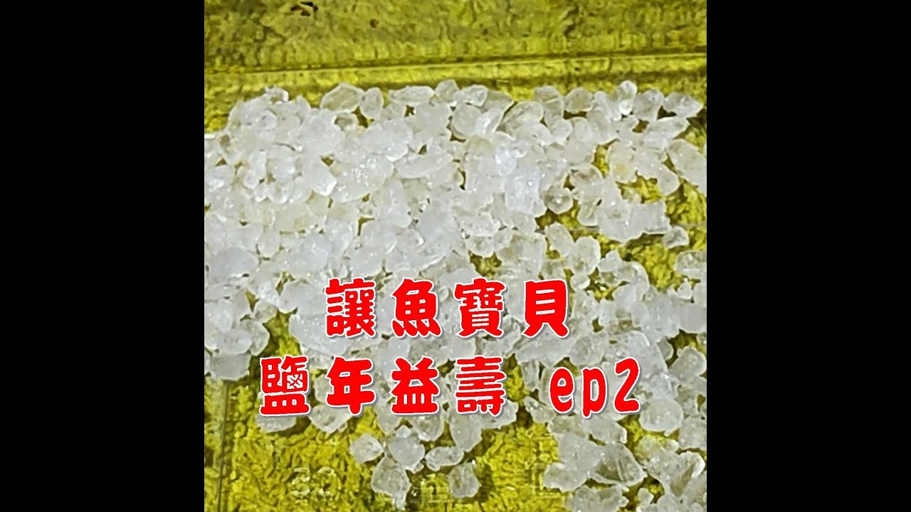 讓魚寶貝 鹽年益壽 EP2
