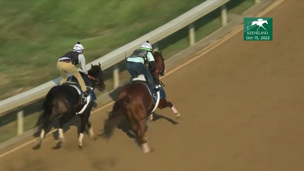 Jack Christopher (Outside) and Artorius (Inside) Work at Keeneland, Oct. 15, 2022