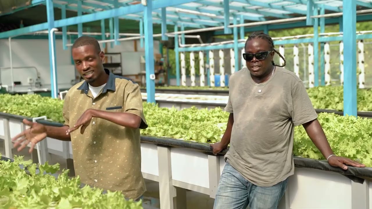 Ep 3   Resilient Saint Lucia： Celebrating the Work, Charting the Future
