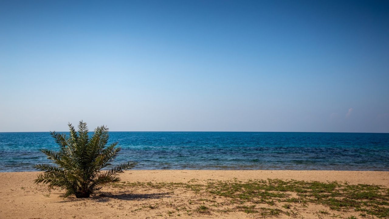‘Embarrassment’: Australia ‘doesn’t have a ship to send’ to Red Sea