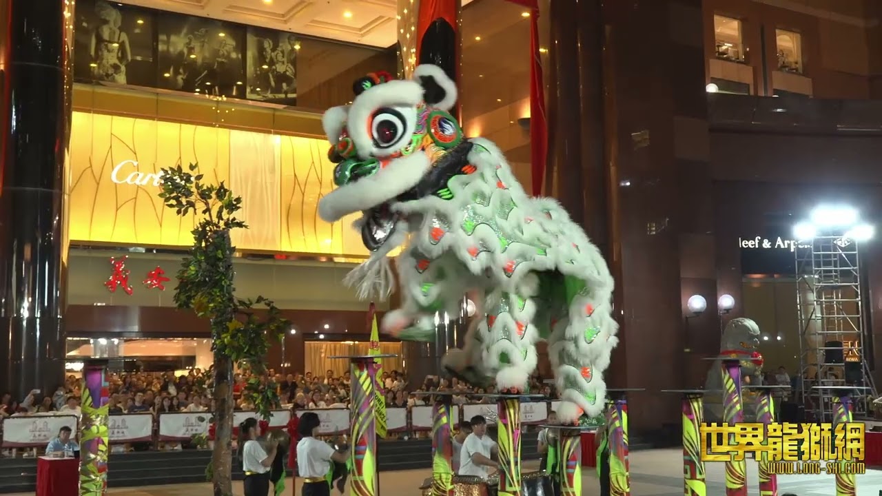 腾阳龙狮体育会 Teng Yang Dragon & Lion Dance Association