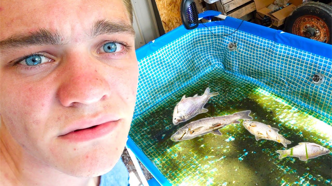 we drained the pool pond...