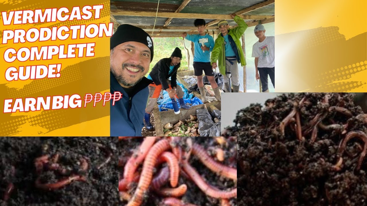 VERMICAST PRODUCTION COMPLETE GUIDE - Can EARN  72,000 A MONTH How to?