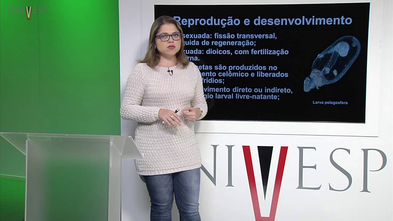 Zoologia de Invertebrados - Aula 18 - Filos Sipuncula, Echiura e Priapulida