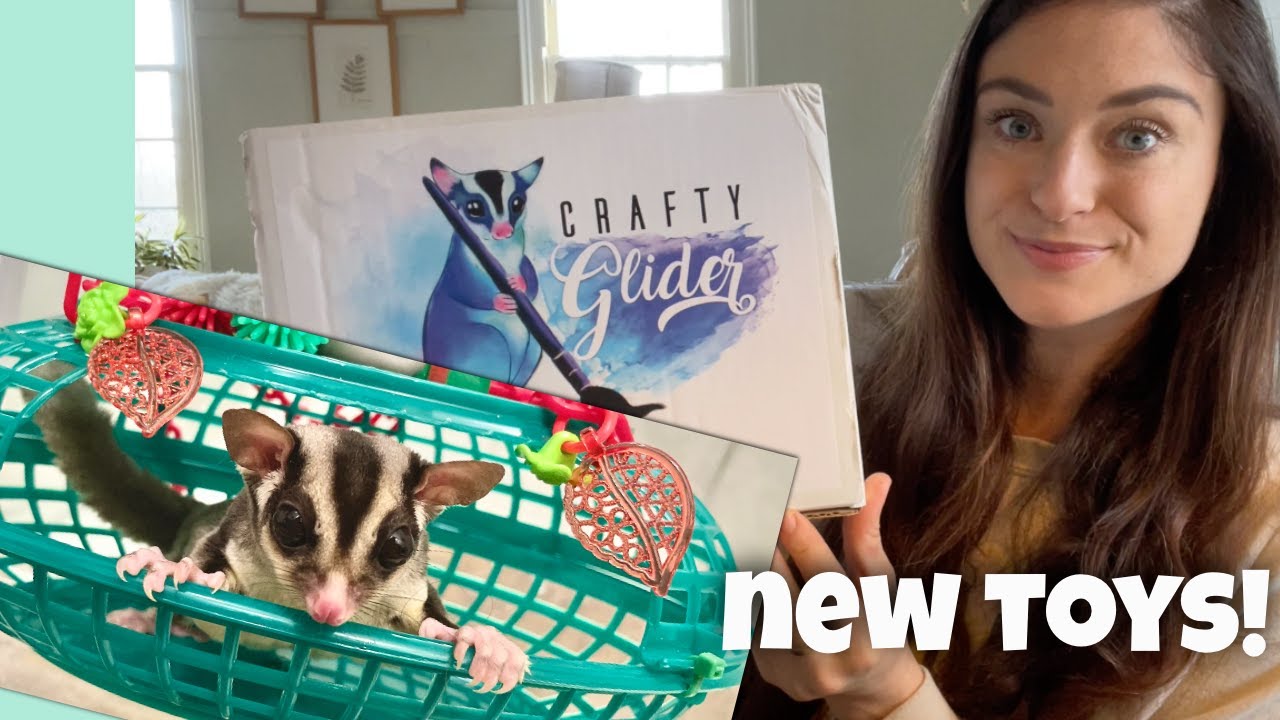 Sugar Glider Haul | Crafty Glider