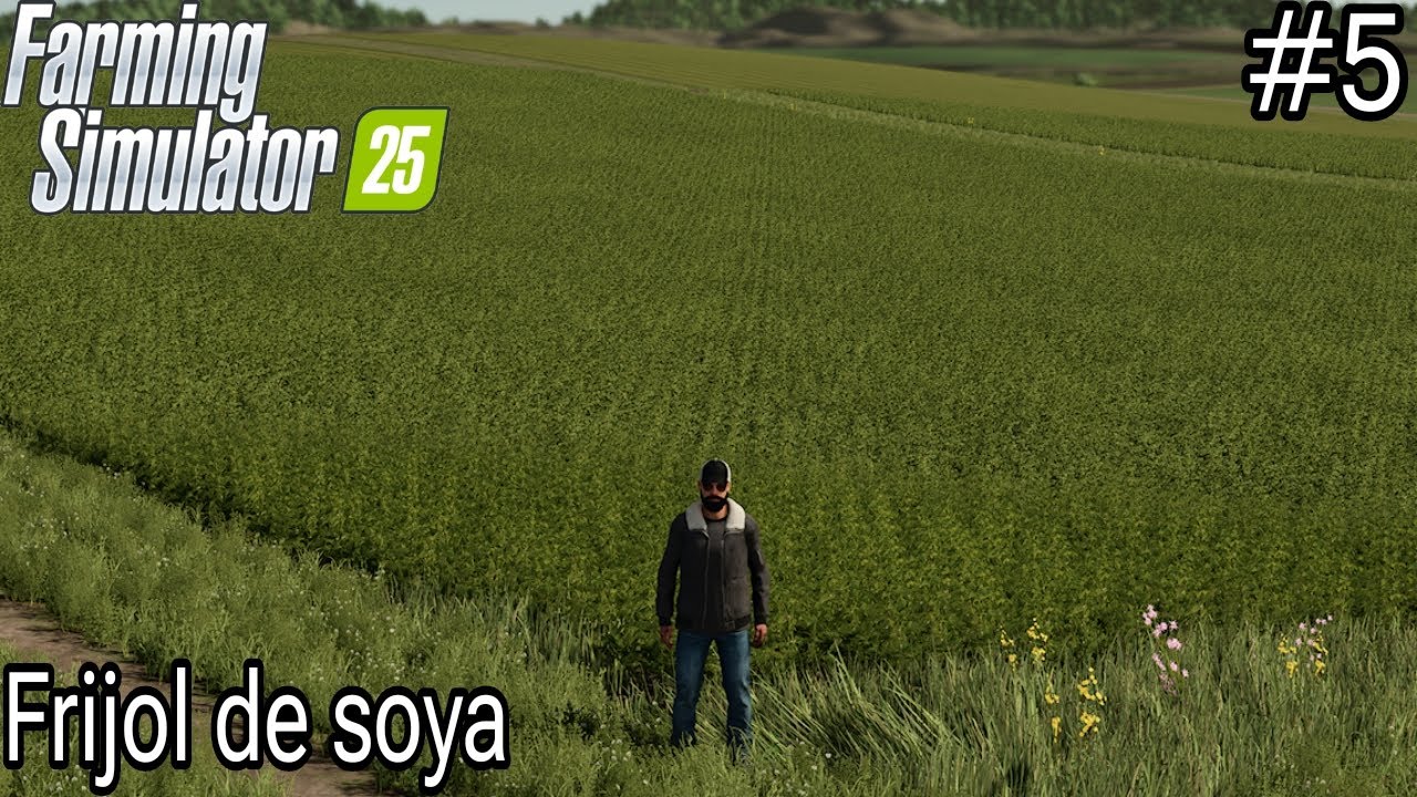 FS 25 