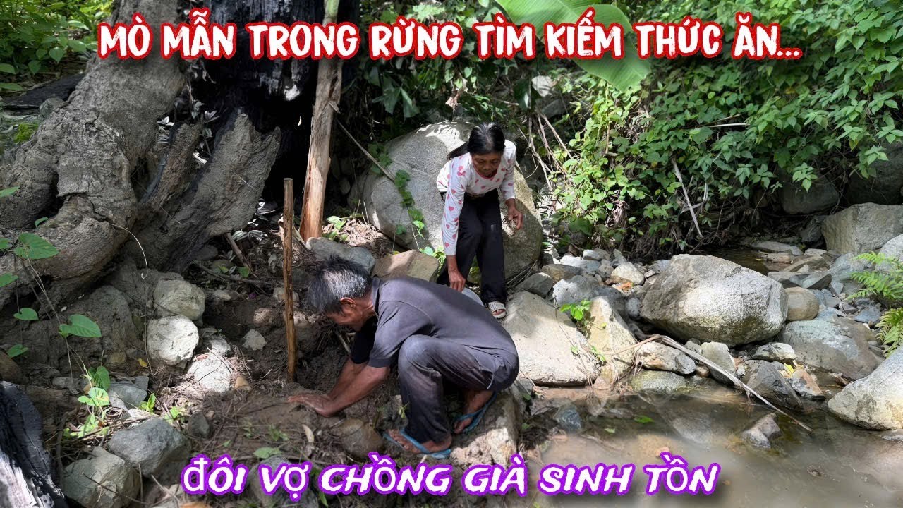 Để có THỨC ĂN đôi vợ chồng GIÀ tìm cách SINH TỒN trên núi cao../580