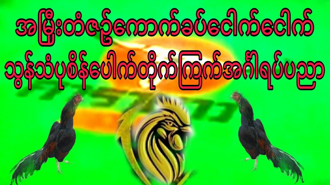 အၿမီးတံဇဥ္​​ေကာက္​ခပ္​​ေငါက္​​ေငါက္​သြန္​သံပုစိန္​​ေပါက္​