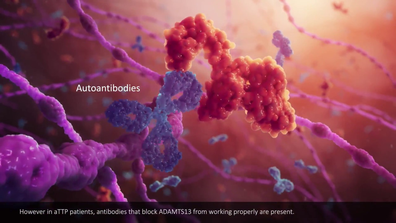 What is TTP (Thrombotic Thrombocytopenic Purpura)?